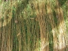 cimg7353
