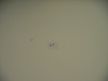 cimg9302