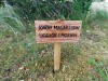 IMG_20200718_110444