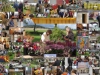 Marknad sept 2012