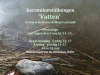 Vattenaffisch